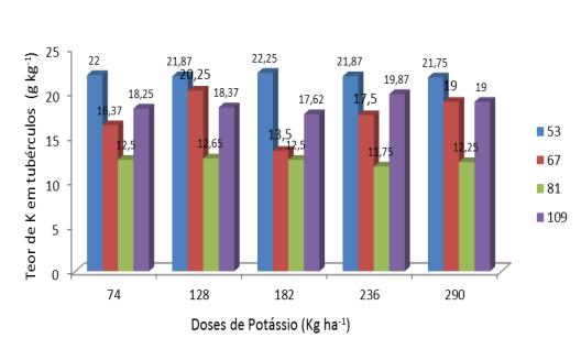 Acúmulo de nitrogênio em tubérculos ao longo do ciclo de desenvolvimento e em função de doses de fertilizantes nitrogenados (Nitrogen accumulation in tubers along the development cycle and depending