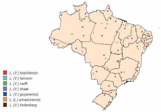 20 A distribuição das espécies de Leishmania sp., causadoras da leishmaniose tegumentar americana no Brasil, em 2007 está representada na Figura 2.