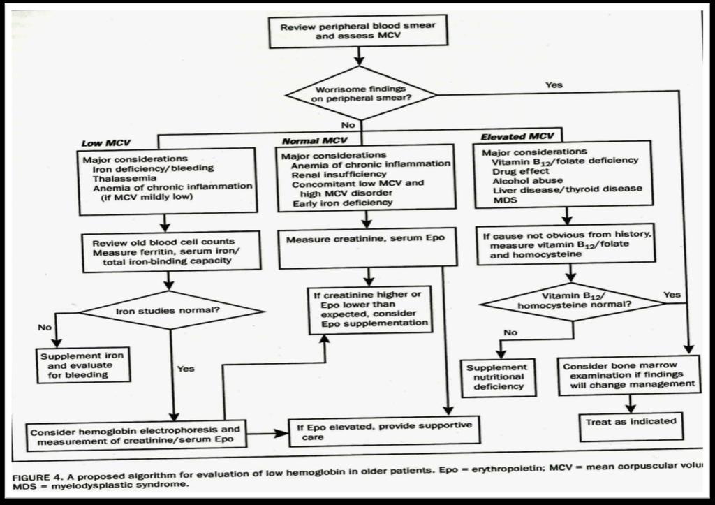 Proposta de algorí1mo para avaliação de anemia em pacientes