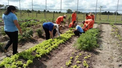 Alimente-se com o CPE Unidade que realiza o CPE - Conjunto Penal de Eunápolis Quem se beneficia: Colaboradores,