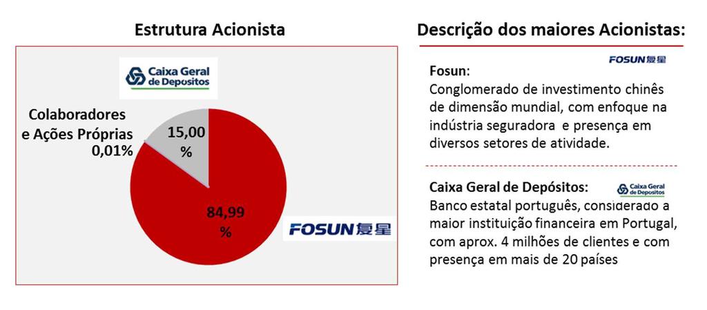 Para além dos trabalhos de revisão legal de contas e auditoria, a Ernst & Young Au