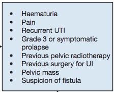 Caso clínico 1 1ª consulta de Urologia - LUTS de armazenamento - IUM (principalmente de imperiosidade) - Refractário a tratamento conservador, estrogénio