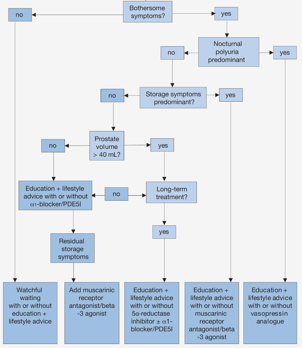 EAU Guidelines on Management of Non-Neurogenic Male Lower Urinary Tract