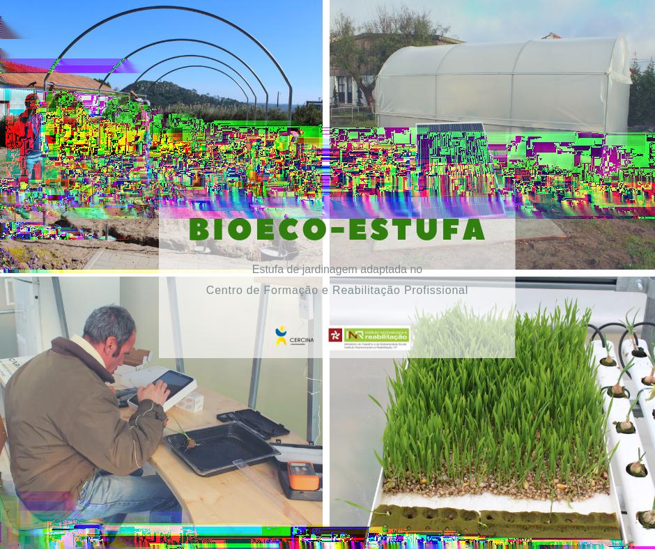 Projeto BioEco-Estufa Co-Financiado pelo INR e CERCINA Os formandos de Jardinagem da CERCINA passaram a usufruir de um novo espaço, a Bioeco-Estufa.