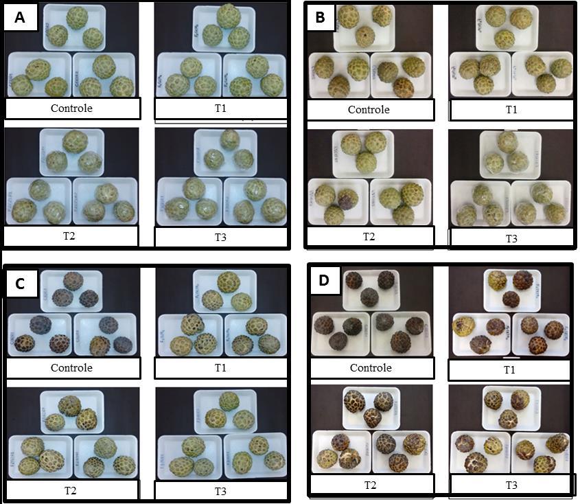 Bianca Mara Reges et al. Figura 3.