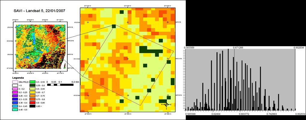 da vegetação advindas da correção do backgorund com L=0,5 para a Caatinga. Figura 10. NDVI, Landsat 5, 22/01/2007. Figura 11. SAVI, Landsat 5, 22/01/2007.