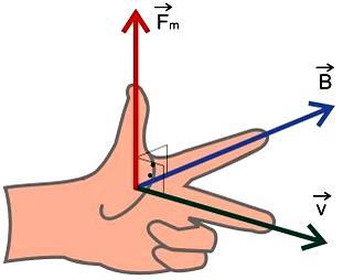 Observação: O sentido da força magnética pode também ser determinado pela regra da mão esquerda.