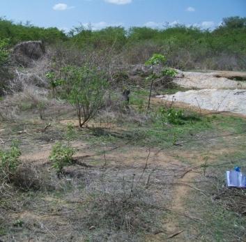 An1 An2 An3 Figura 5 - Locais de coleta das amostras de solo na Área natural (An). 3.