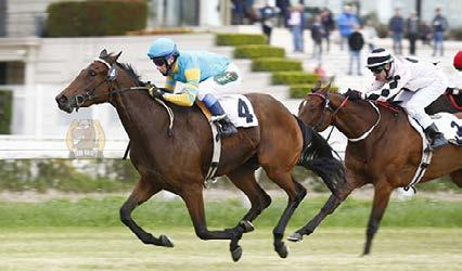 Pai: Deep Impact-Jpn e Mantis Hunt-Jpn, por Deputy Minister-Can) 2º.