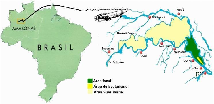 30 60 comunidades ribeirinhas e mais de 5000 pessoas entre moradores e usuários, sendo que estes últimos moram fora da área, mas também utilizam os recursos da Reserva (Mamirauá, 1996).