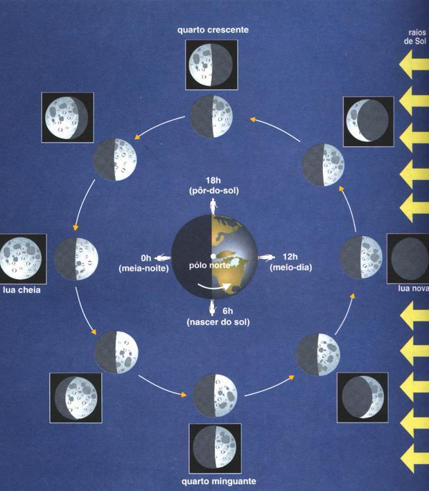 MÊS SINÓDICO O tempo entre duas fases consecutivas da lua é de