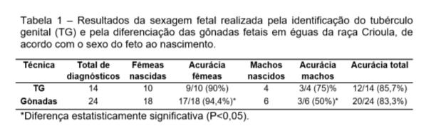 88 Determinação ultrassonográfica do sexo fetal em éguas da raça crioula entre o 59 e o 126º dias de gestação, em condições de campo relacionada a um ou outro sexo durante a realização dos exames.
