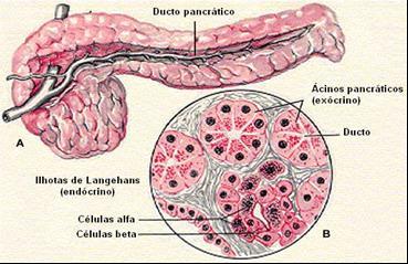 DIABETES MELLITUS Figura 5.3: