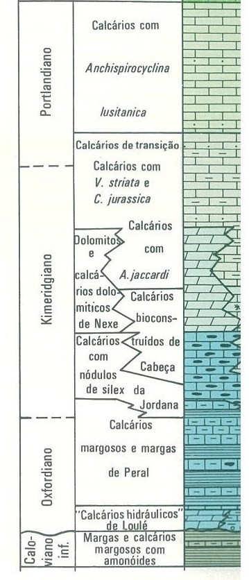 Na Bacia Algarvia, de idade Mesozóica, encontra-se dividida em três sub-bacias (Sub-Bacia de Sagres, Sub-bacia de Buns-Lagoa e Sub-Bacia de Faro), a área em estudo localiza-se na Sub- Bacia de Faro.