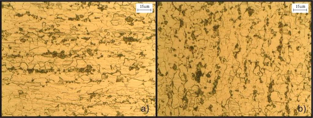 63 d água de diferentes granulometrias (220, 320, 400, 600 e 1200) e polida em politriz com alumina (1 µm).