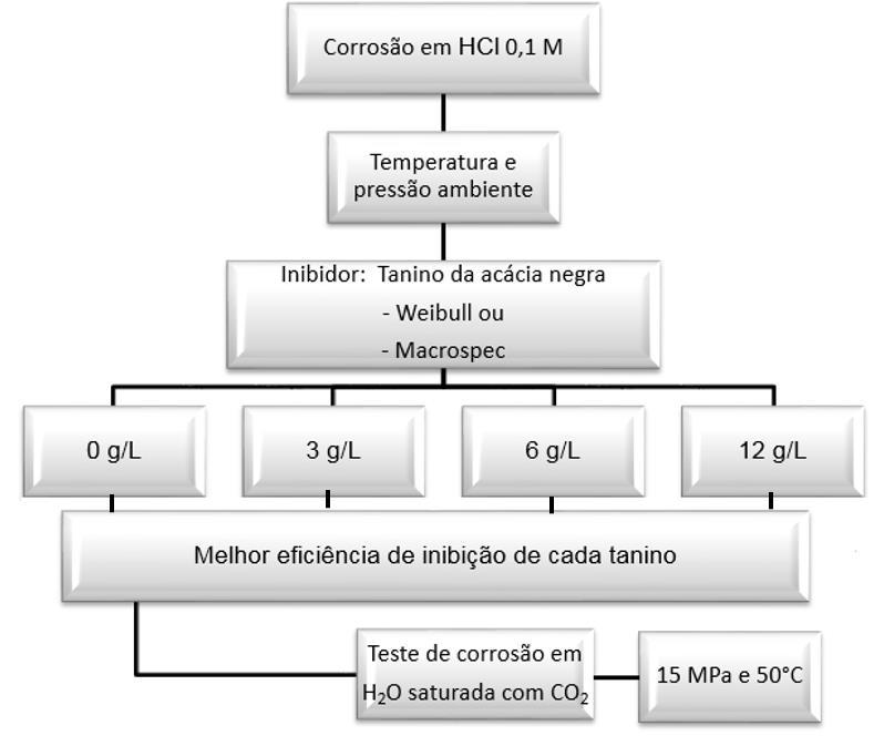 65 4.3 Indução e Avaliação da Corrosão A avaliação da corrosão com o uso de dois tipos de taninos comerciais da casca da acácia negra foi realizada em dois meios ácidos: HCl 0,1 M a pressão