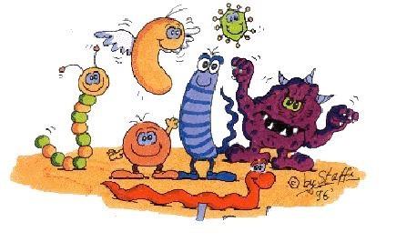 Microorganismos extremófilos Temos mais células de micróbios (cerca de 1 trilhão na pele, 10 bilhões na boca e 100 trilhões no trato intestinal) do que células humanas (10 trilhões) no nosso próprio