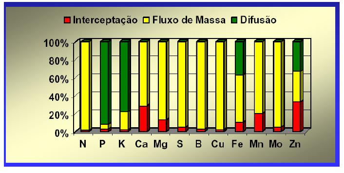 Absorção Fonte: