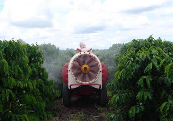 Absorção foliar Corrigir deficiências; Fornecer micronutrientes; Aumentar aproveitamento de