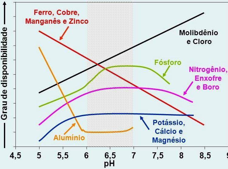 Fatores - nutrição de plantas Fatores do