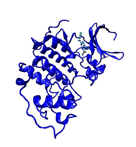 Interação Proteína-Ligante Quando o sistema proteína-ligante está em equilíbrio, a formação do complexo binário e a dissociação ocorrem, assim a constante de equilíbrio (K eq ) da reação é dada por,