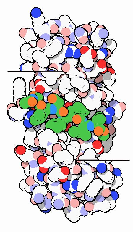 Inibidores da Protease do HIV A poliproteína intacta é necessária no início do processo de infecção, quando monta a forma imatura do vírus.