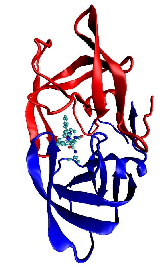 Interação Proteína-Ligante Consideremos um sistema biológico formado por uma proteína (P) e um ligante (L) em solução.