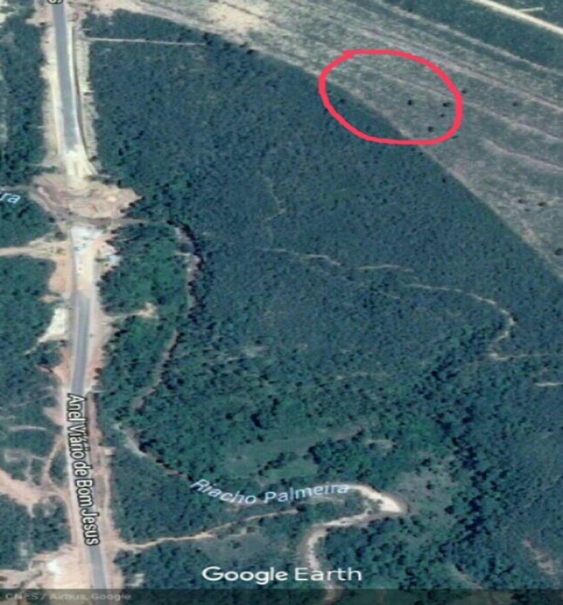 FIGURA 2: Local do experimento. Imagem destacada em vermelho mostra onde a armadilha foi instalada. Fonte: google earth.
