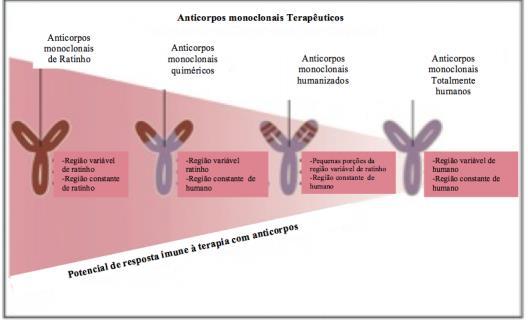 4 Posto isso, a humanização de anticorpos apresenta como principal objetivo de eliminar ou minimizar essas respostas reacionais imunologicamente, pois expressa grande proporção de moléculas de