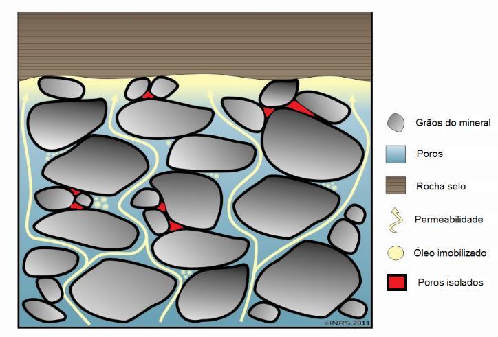 35 (THOMAS, J. E., 2004). Na Figura 6 é apresentada uma ilustração de um sistema rocha selo-reservatório com a representação de um sistema de poros e de permeabilidade no reservatório. Figura 6. Ilustração da porosidade/permeabilidade de um sistema rocha selo-reservatório (THOMAS, J.