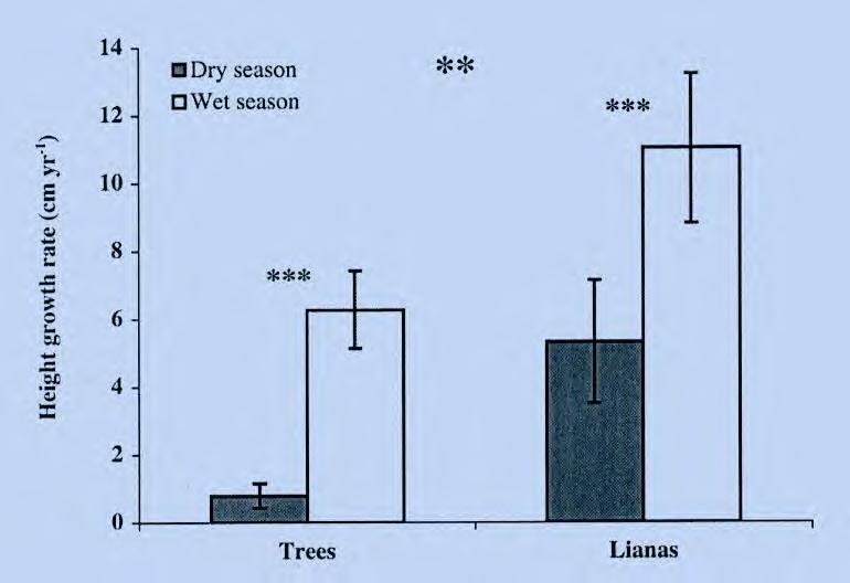 Crescimento das lianas