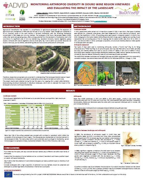 Hymenopte ra 17% Coleoptera 59%