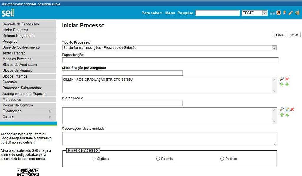 4) Após a escolha do Tipo de Processo, abrirá a seguinte tela: 5) Nessa