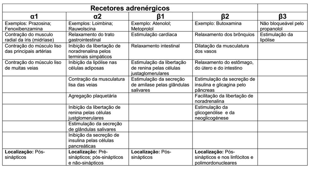 Anexo L- Parte da tabela de Antibióticos realizada Anexo M-