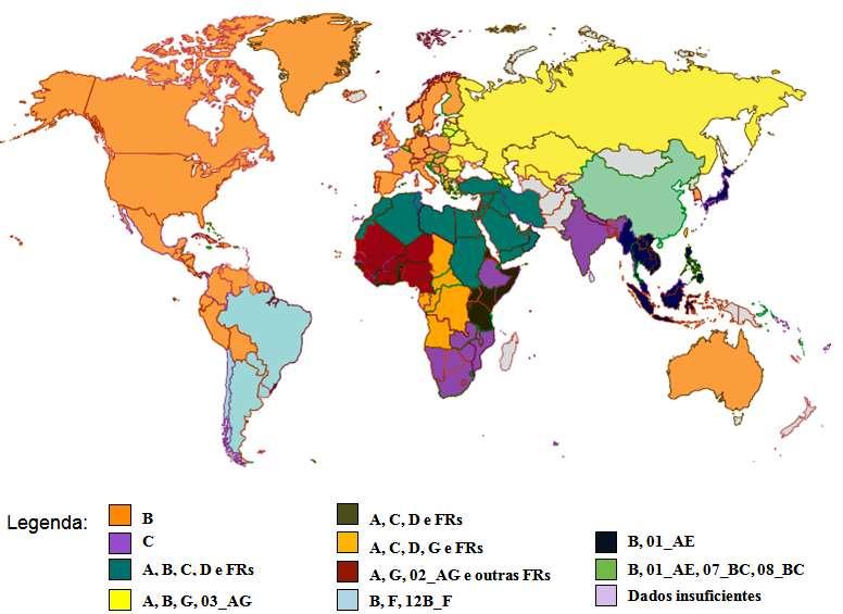8 Figura 6. Distribuição geográfica dos subtipos do HIV-1 Fonte: Adaptado de Hemelaara et al. AIDS 2006 1.4.