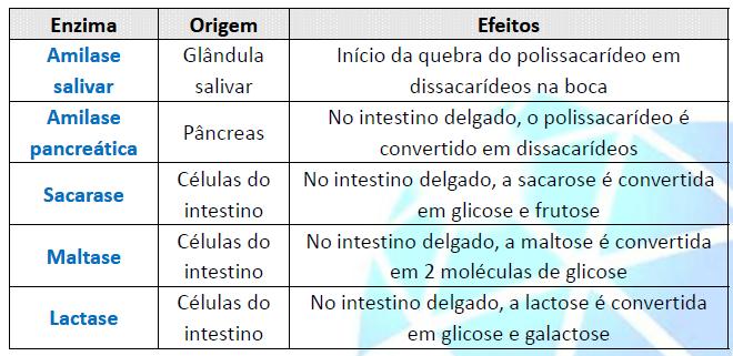 Digestão e absorção de carboidratos Principais enzimas digestórias envolvidas na digestão de