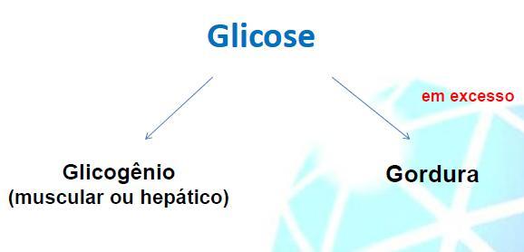 Digestão e absorção de carboidratos Muitos carboidratos são obtidos na dieta (maioria oligossacarídeos e polissacarídeos) Humanos absorvem somente monossacarídeos hidrólise dos oligossacarídeos e