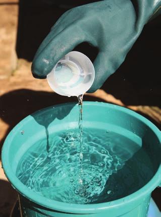 2 - Sanitize balde e coador A sanitização dos utensílios é realizada 30 minutos antes da ordenha com objetivo de reduzir a presença de micro-organismos.