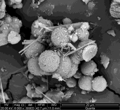 sodalita para a fase cancrinita, que é uma estrutura termodinamicamente mais estável na temperatura de 170 C, utilizada na síntese (MALDONADO et al., 2013). Figura 3.