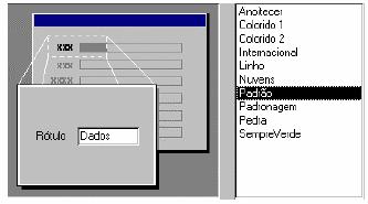 Clique sobre o botão "Avançar". Agora, você deve escolher o Layout do Formulário e clique em "Avançar".