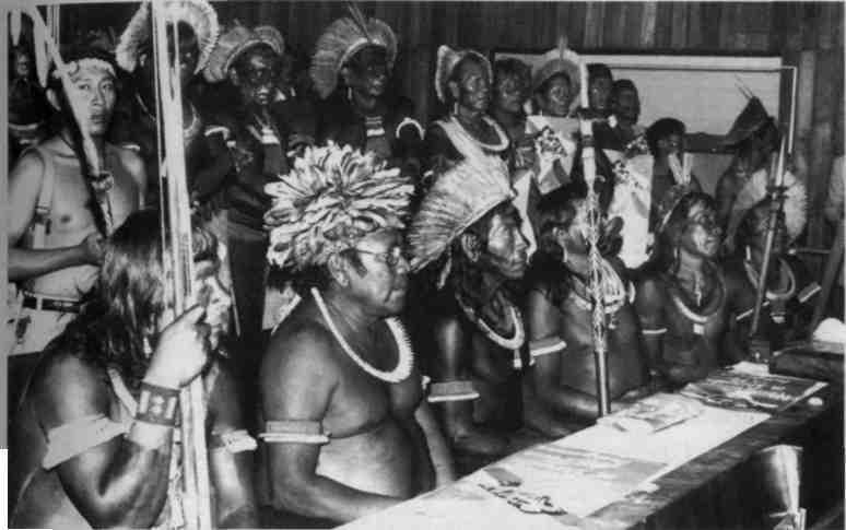 O Estado brasileiro pensava uma "escola para os índios" que tornasse possível a sua homogeneização. A escola deveria transmitir os conhecimentos valorizados pela sociedade de origem européia.
