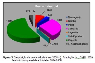 sector.