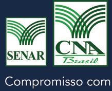 11 PECUÁRIA INSUMO PRIMÁRIO INDÚSTRIA SERVIÇOS TOTAL 1994 28,89 89,63 46,72 85,85 251,08 1995 28,84 94,96 51,78 90,17 265,74 1996 27,87 87,23 52,20 89,25 256,55 1997 26,95 84,45 49,62 86,23 247,26