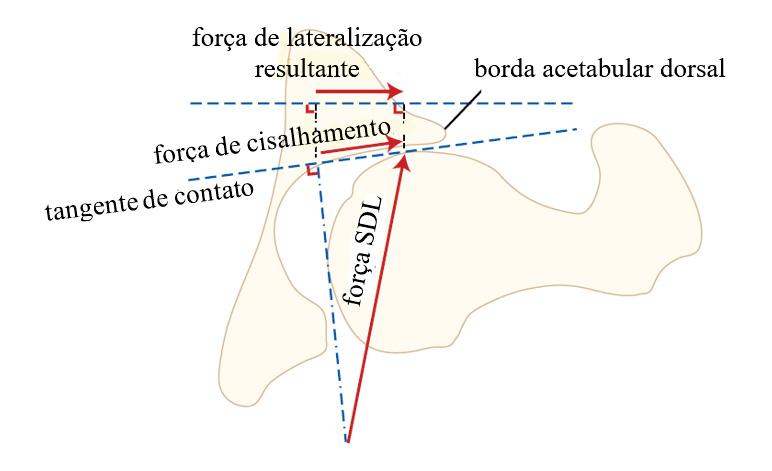 23 Figura 2. Esborço da seção transversal da articulação coxofemoral mostrando a força de lateralização resultante no teste de SDL.