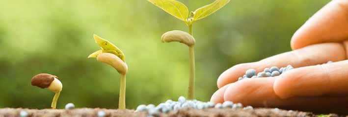 ADUBOS BLUDIAMOND SÓLIDOS NOVA GERAÇÃO DE ADUBOS MULTIFUNCIONAIS com A introdução da Tecnologia do Micro Carbono (MCT) nos fertilizantes sólidos, em culturas de sequeiro, representa um passo