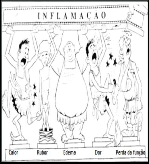 Interação Vírus X Célula/Hospedeiro Inflamação Ativação