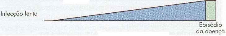 Tipos de infecção Persistente Lenta Anos mais tarde após a infecção ou doença, o paciente pode manifestar um