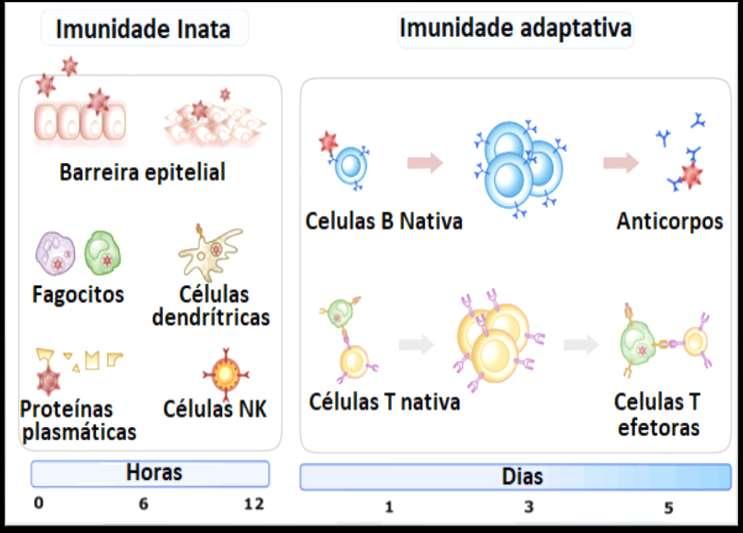 ou Inativar Determinar o inicio