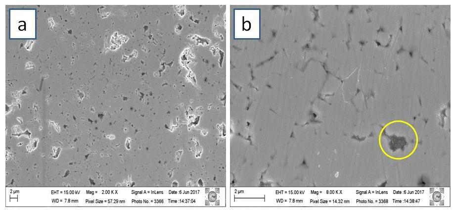 142 Capitulo 4 - Resultados e Discussões Figura 4.46- Micrografias obtidas por microscopia eletrônica de varredura MEV-FEG da amostra AM-5%-1350 sinterizada via SPS, (a) 2000x, (b) 8000x.