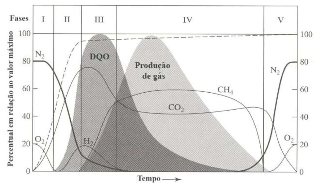 Fases da degradação da matéria orgânica A geração do biogás: 5 fases (QIAN et al.